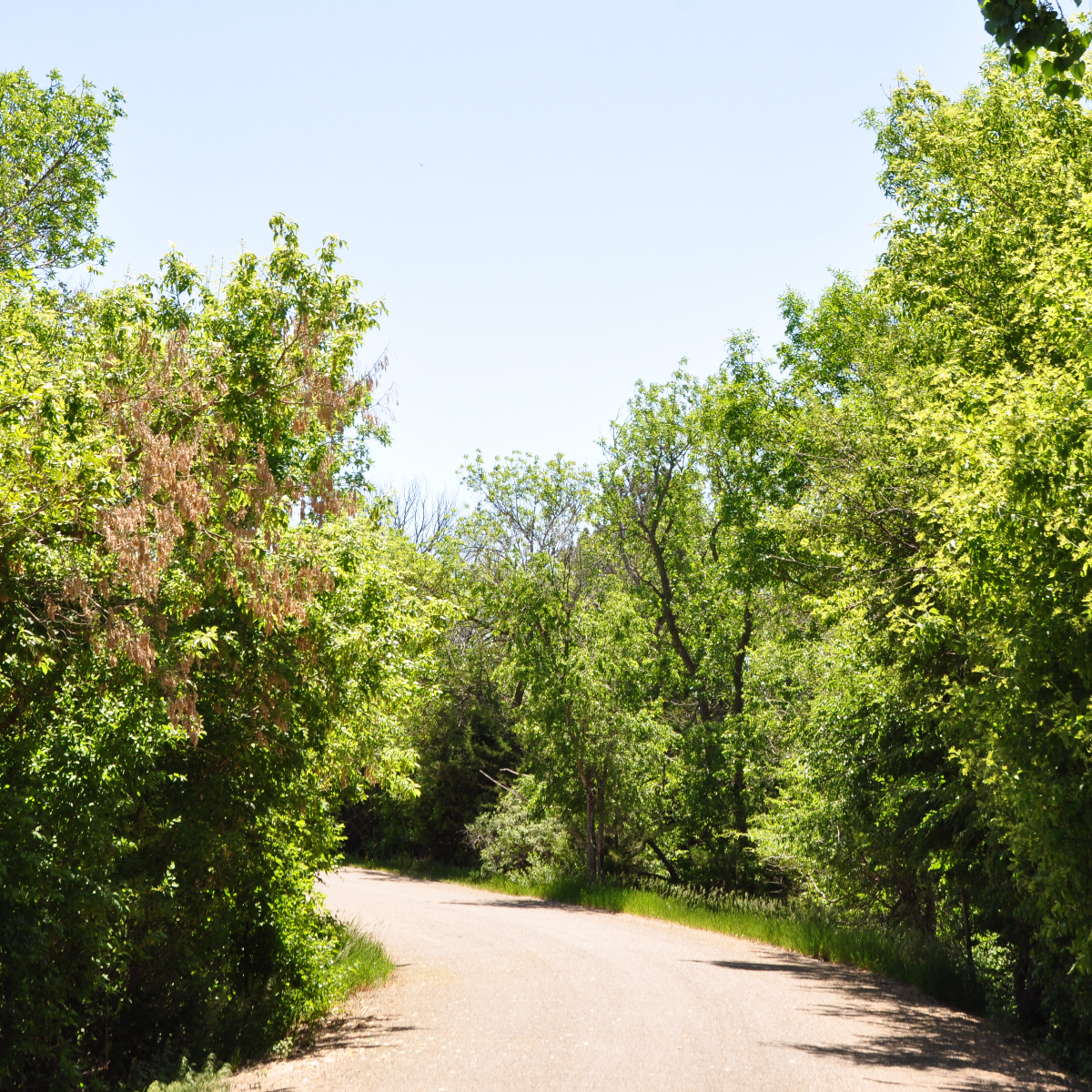 /userdocs/Lake Hiddenwood Recreation Area