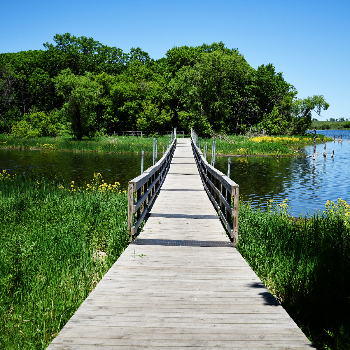 /userdocs/Roy Lake State Park