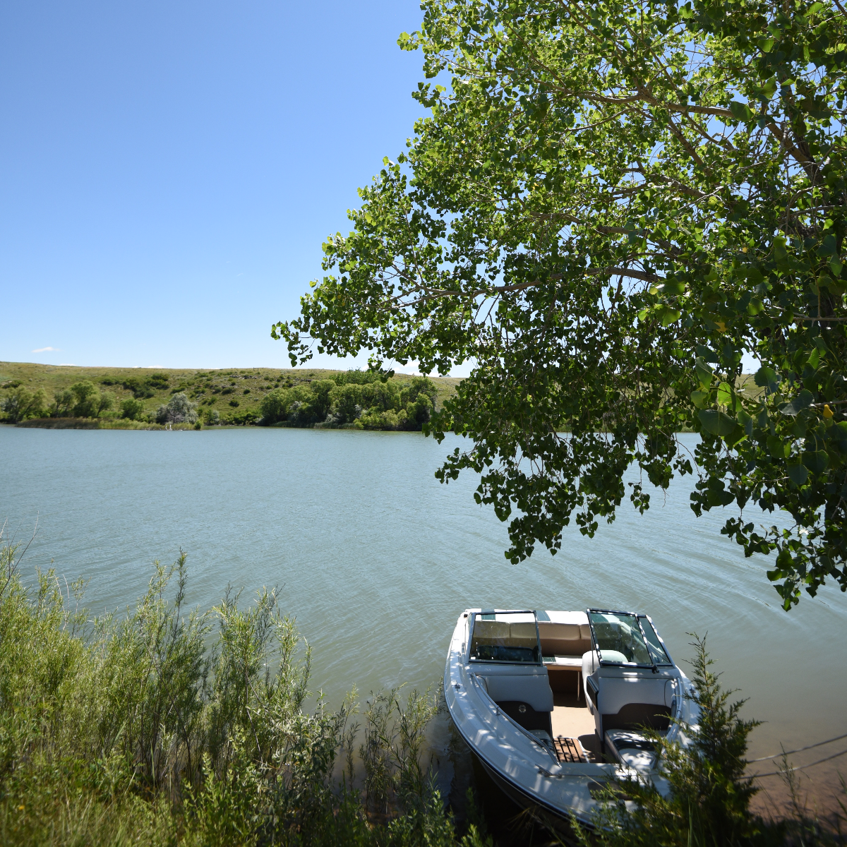 /userdocs/Sheps Canyon Recreation Area