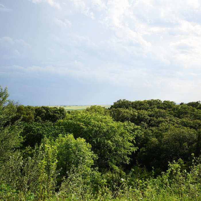 /userdocs/Union Grove State Park