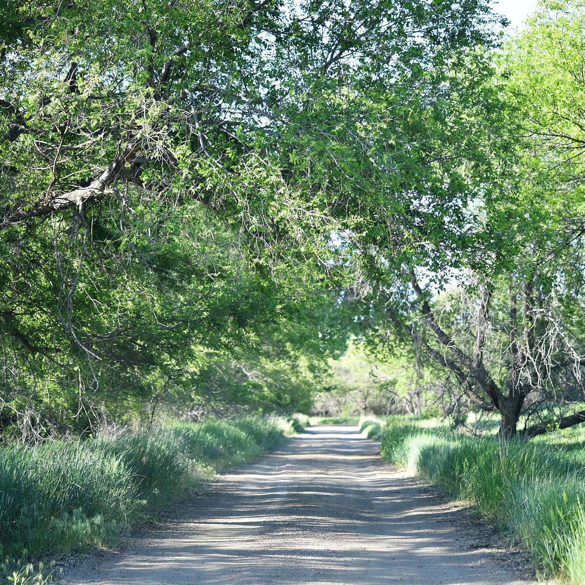 /userdocs/Cow Creek Recreation Area 